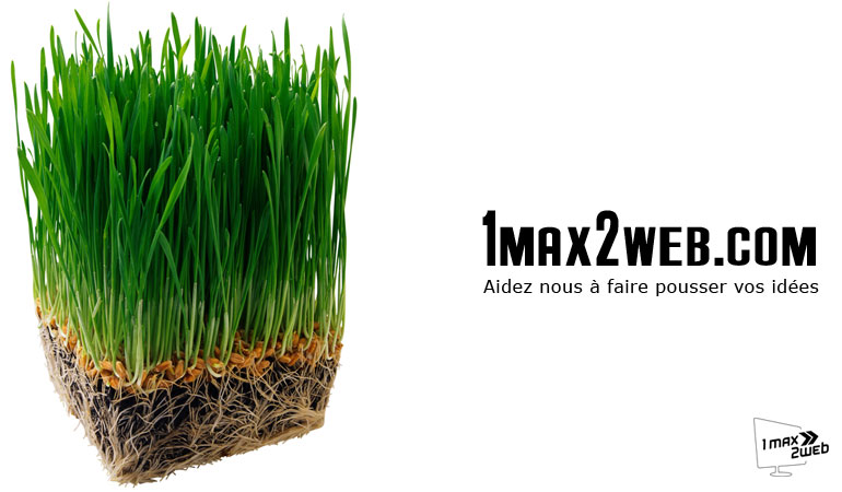 Web agency 1max2web.com