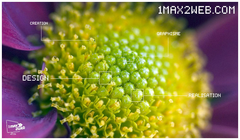 Web agency 1max2web.com