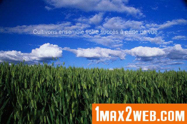 Web agency 1max2web.com
