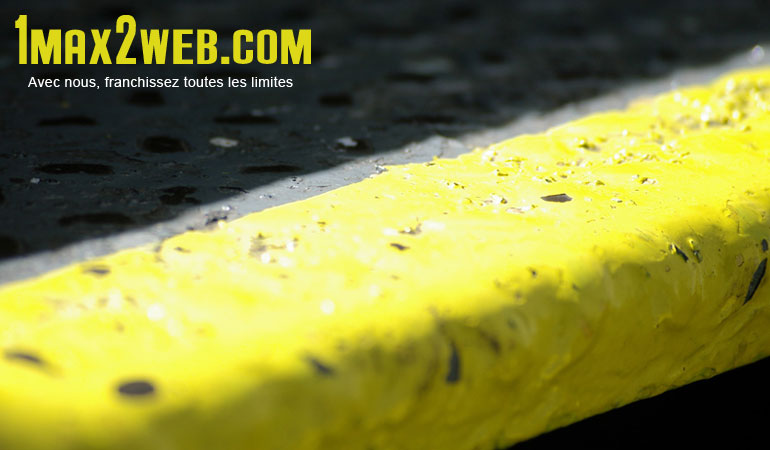 Web agency 1max2web.com