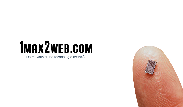 Web agency 1max2web.com